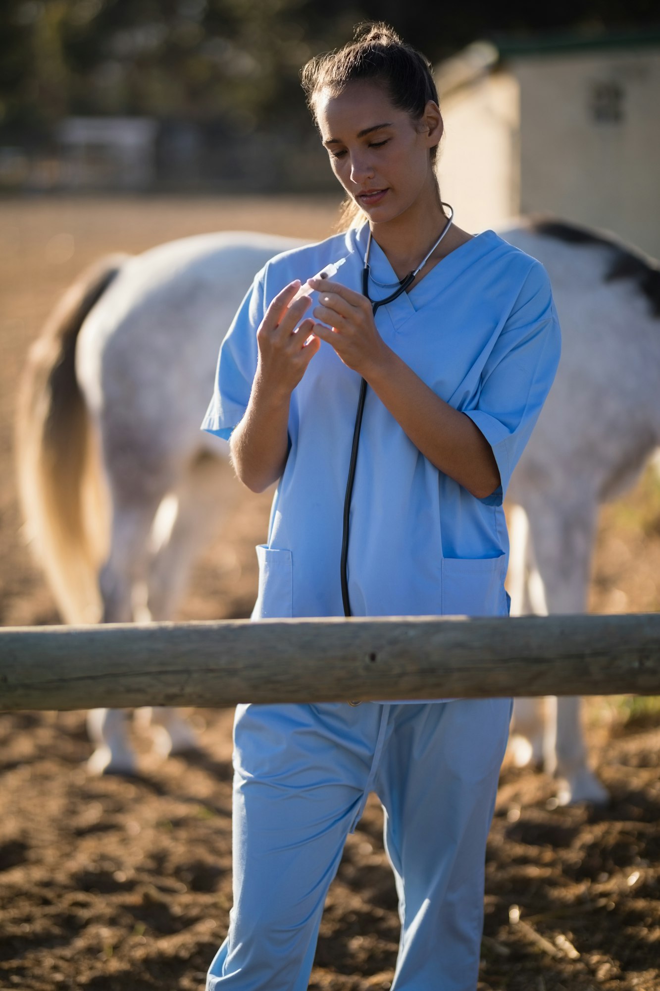 Female vet examining syringe at barn