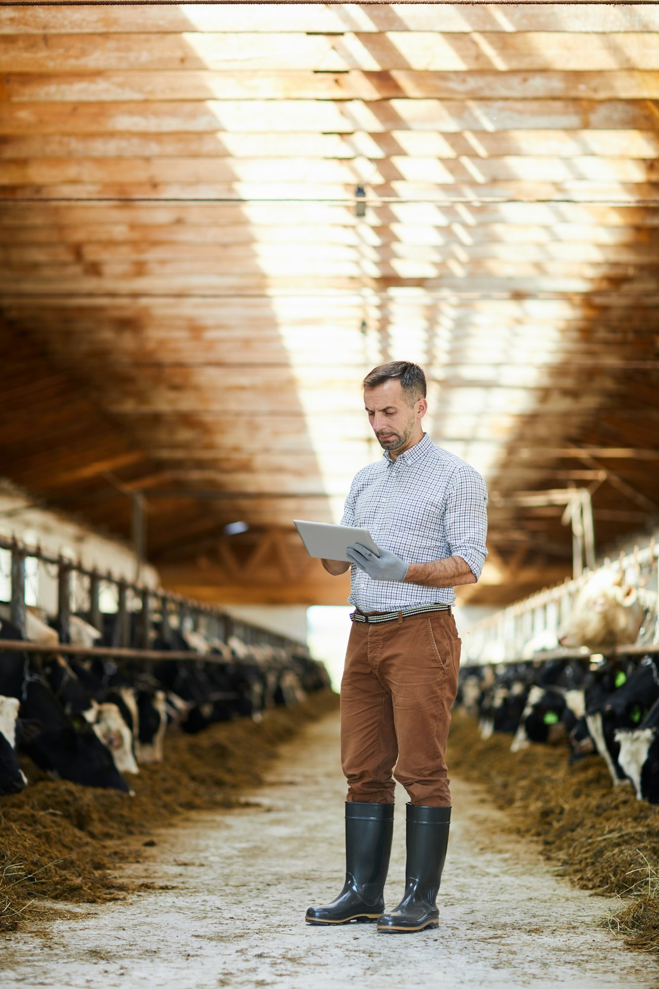 Modern Farmer