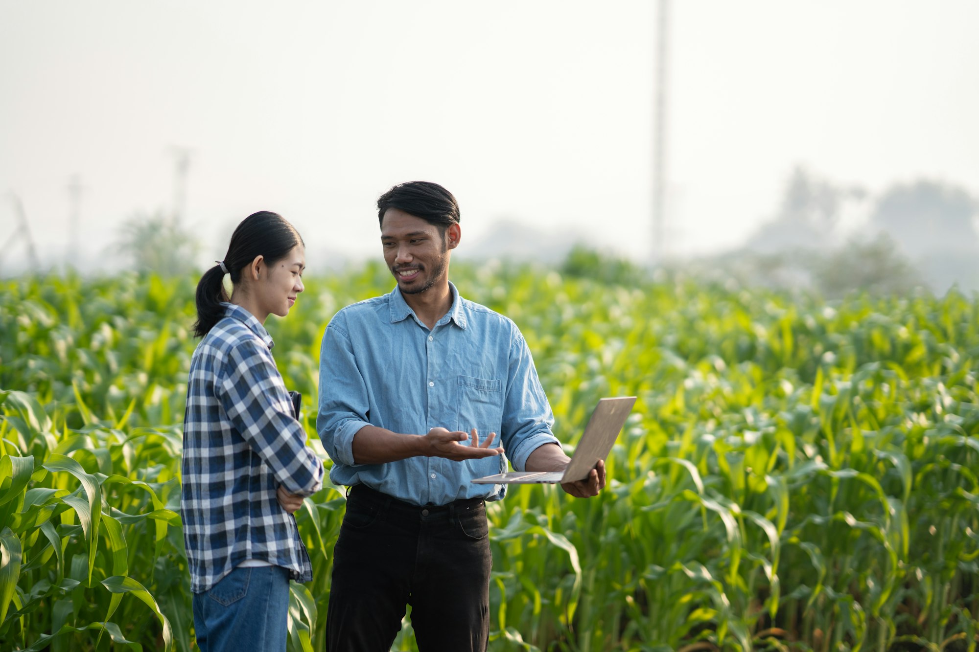 Young gardeners working with laptop in a large crops field, planning together for the process.